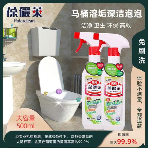 葆儷莱溶垢深洁泡泡除臭去异味溶解顽垢迅速清洁去污去黄厕所清洗(买一送一促销装  到手2瓶) 商品图0