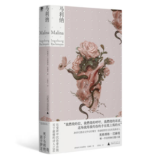 马利纳丨20世纪德语文学瑰宝巴赫曼平生仅此一部长篇自传小说【北贝】 商品图7