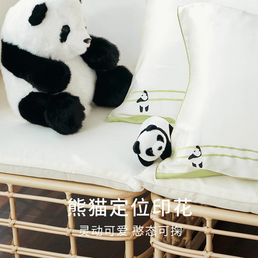 金三塔重磅真丝定位印花枕套100%桑蚕丝简约趣味撞色便携旅行好物 新品  CSZT026 商品图1