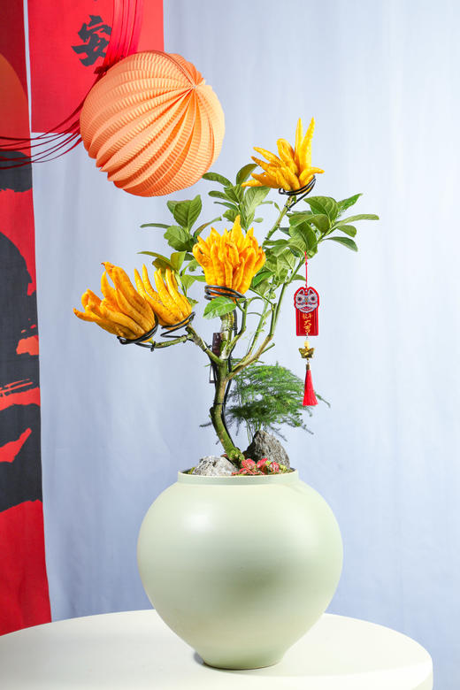 24LZH03009 商品图0