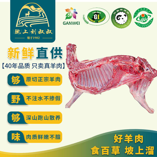 甘肃环县新鲜生羊肉深山散养包邮 商品图13