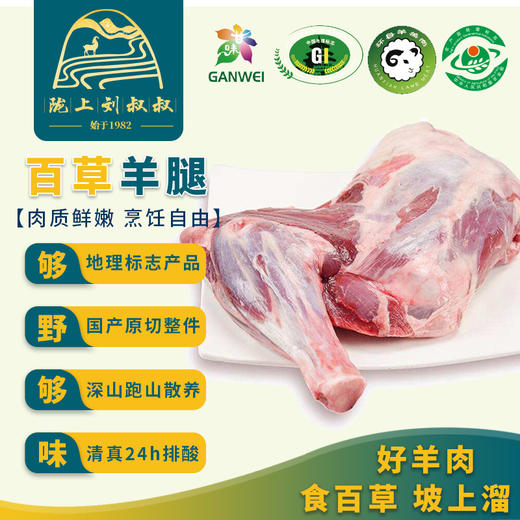 甘肃环县新鲜生羊肉深山散养包邮 商品图1