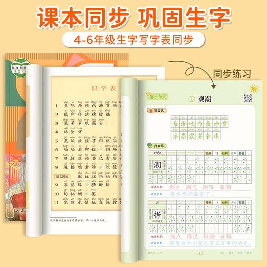 四五六年级课本同步练字帖小学生人教版语文上下册点阵硬笔描红本 商品图2