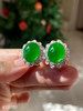 4131101，老坑高冰帝王绿蛋面耳钉。具体价格微信咨询 商品缩略图5