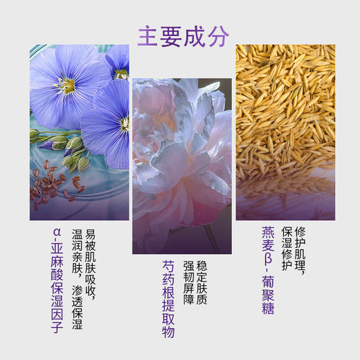 天亿萃α-亚麻酸多层缓释保湿修护乳25g 商品图1