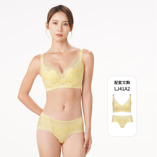 都市丽人舒软挺塑轻塑女蕾丝+双拉塑身女士内裤平角内裤LP49A2 商品图4