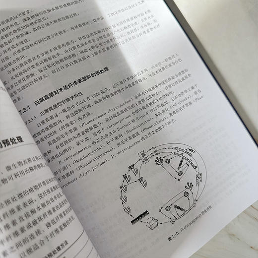固体废物生物处理技术 商品图8