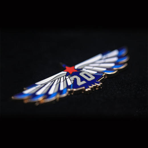 【歼20徽章套装】贰零时代徽章套装歼20徽章纪念章高端简约礼品hk 商品图3