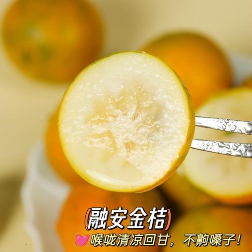 【顺丰快递】广西融安滑皮金桔 口感纯甜皮脆 新鲜应季水果 二代金桔 ATX 商品图3