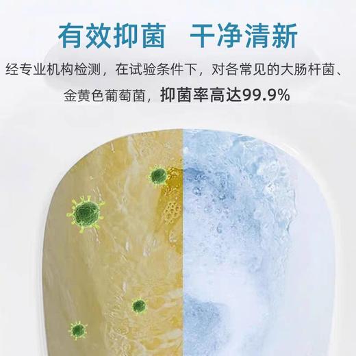 葆儷莱溶垢深洁泡泡除臭去异味溶解顽垢迅速清洁去污去黄厕所清洗(买一送一促销装  到手2瓶) 商品图3