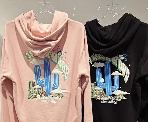 jasonwood  24年春款  套头卫衣  141406006 商品图3