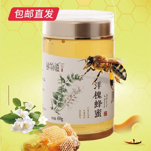 鲜物道蜂蜜-450g洋槐蜜瓶装【CS】【包邮直发】(ZB) 商品图2