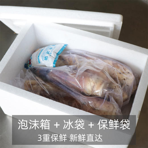 舌尖推荐【 临安天目山春笋】  农家直采，现挖现发 鲜脆爽口 商品图7