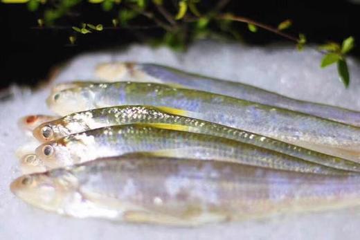 江南灶侯新庆师傅监制的江阴刀鱼馄饨 顺丰发货 含馄饨皮 商品图11