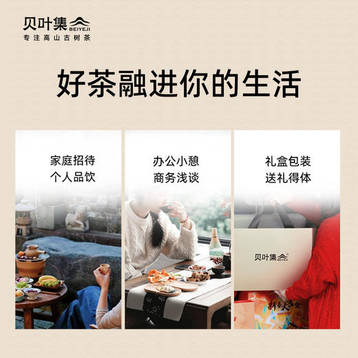 【库存清仓】贝叶集春魁云南凤庆滇红正宗古树红茶浓香型茶叶礼盒装100g 商品图3