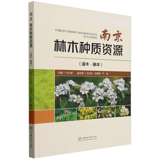 南京林木种质资源(灌木藤本)2265 商品图0