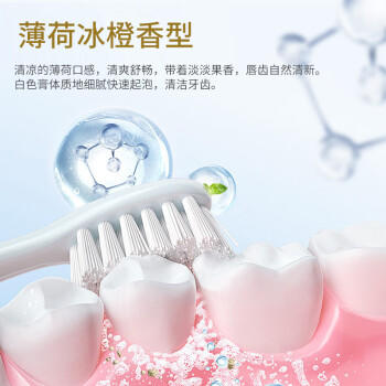 fe金典溶菌酶牙膏护龈减轻牙龈问题清火清新口气生物酶8.8薄荷冰橙160g 商品图0