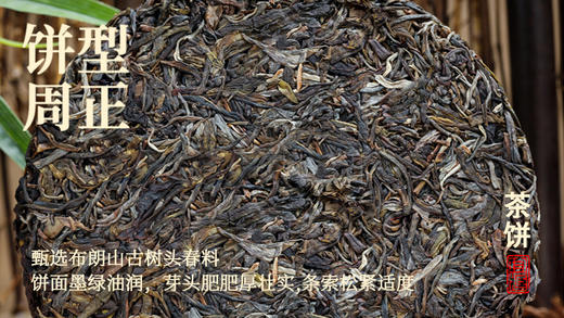 尚礼村云南普洱茶2019 瑞弘昌【绿票】普洱生茶357g 商品图2