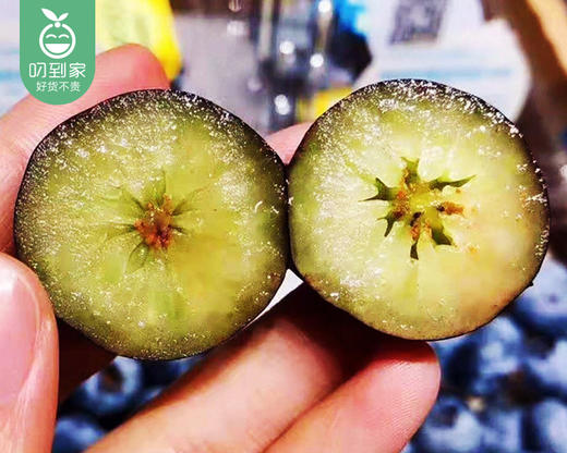 云南怡颗莓蓝莓（中果14+）/1箱（约125g*12盒） 商品图2