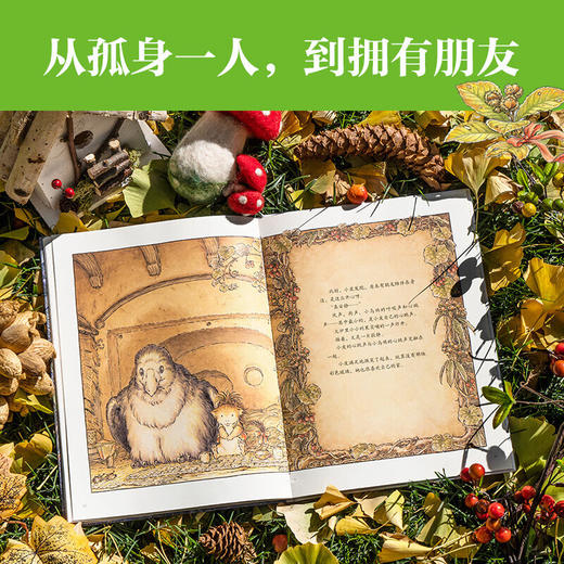 勇敢小皮闯世界中文版全3册 商品图3
