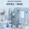 葆儷莱卫浴清洁剂玻璃除水垢卫生间龙头清洗剂厕所地板砖去污除菌(买一送一促销装 到手2瓶)效期2027年   日期模糊 商品缩略图1