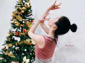 爆款好货  丝绒背心罩衫-豆沙粉