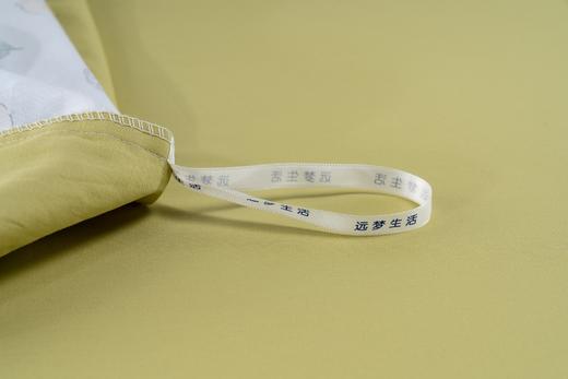 【远梦】甜美生活印花四件套 商品图10