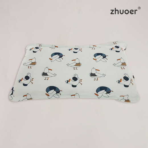 A类全棉幼儿平枕45*25 商品图1