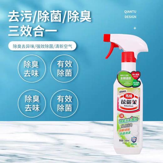 葆儷莱溶垢深洁泡泡除臭去异味溶解顽垢迅速清洁去污去黄厕所清洗(买一送一促销装  到手2瓶) 商品图1