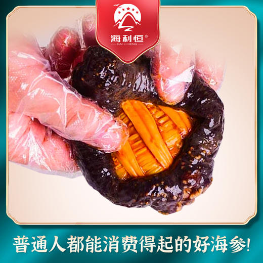 心选丨海利恒红极参礼盒【海参】500g*2（3-6头） 商品图2