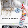 葆儷莱重油污多用清洁剂厨房抽油烟机强力去垢快速溶解油渍神器(促销装  买一送一装) 商品缩略图1