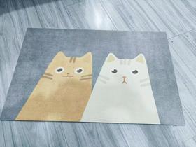 梵菲家品硅藻泥地垫