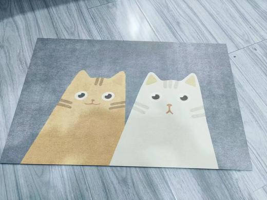 梵菲家品硅藻泥地垫 商品图0