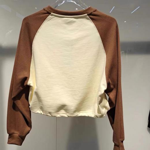 jasonwood  24年春款  套头卫衣 142006021 商品图2