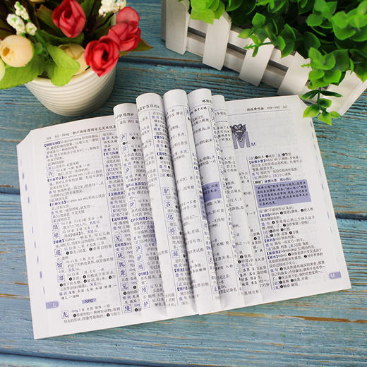 新课标部编版小学生现代汉语词典 商务印书馆 商品图1