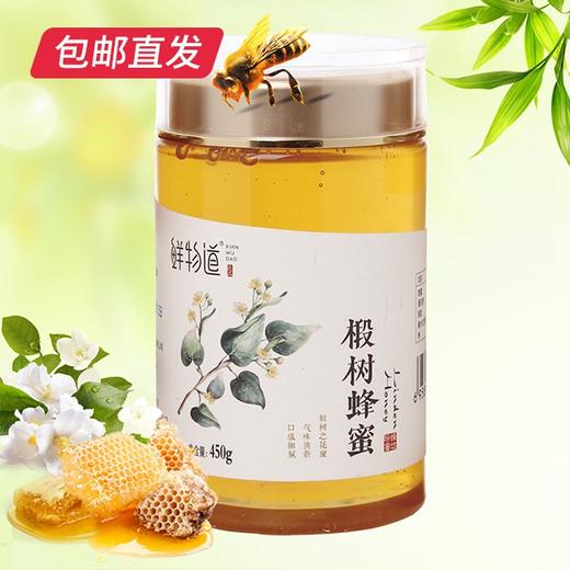 鲜物道蜂蜜-450g椴树蜜瓶装【CS】【包邮直发】(ZB) 商品图1