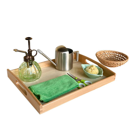 生活区教具-照顾植物的工作 商品图4