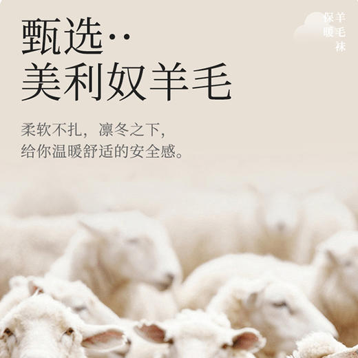 【脚底的小太阳】QIUBAN秋板美利奴男女同款羊毛蚕丝袜 蓄热自发热 羊毛混纺 紧密纺针 久穿保持韧性与张力【G】 商品图3
