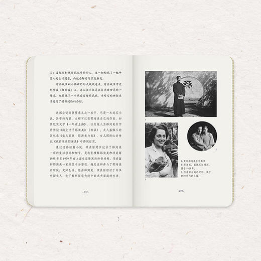 《潘先生》战时中国旧式大家庭 半纪实体短篇小说集 项美丽 读库 商品图3