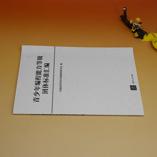 青少年编程能力等级团体标准汇编 商品图2