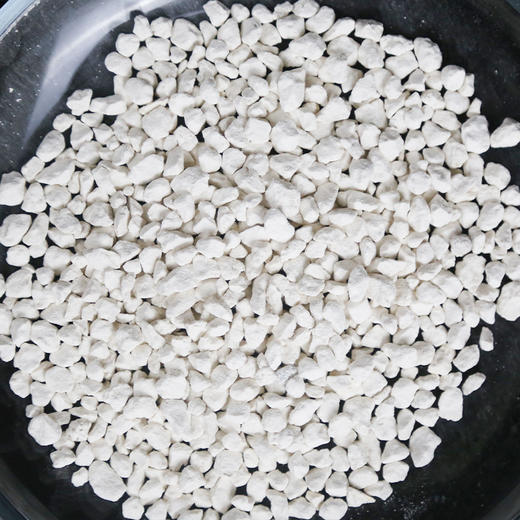 因克塞斯进口珊瑚沙 天然采集 商品图4