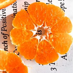 【顺丰快递】春见耙耙柑 爆汁美味 水分足 黄金酸甜比例 3秒轻松剥皮  0°以下地区换泡沫箱发货 ATX