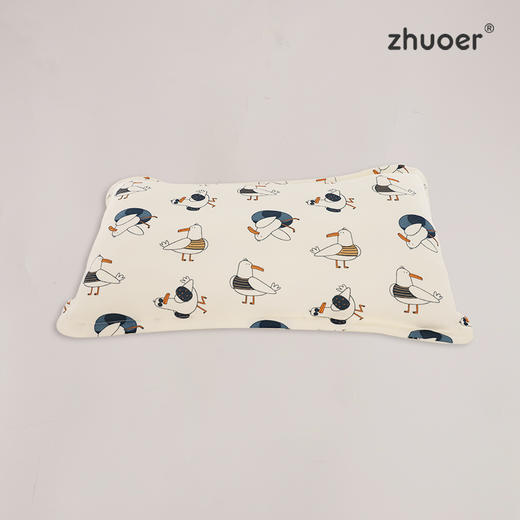 A类全棉幼儿平枕45*25 商品图0
