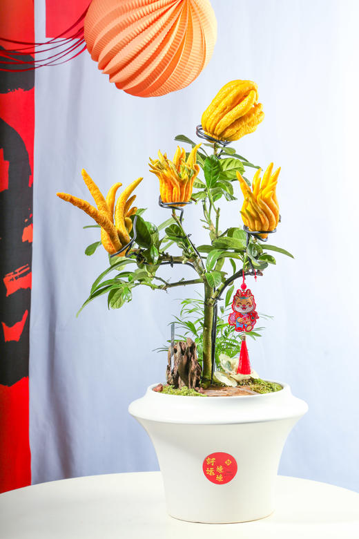 24LZH03008 商品图0