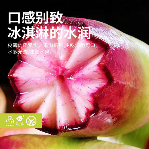 津农精品 莲到家 沙窝萝卜青皮萝卜冰淇淋萝卜双拼伴手礼礼盒 商品图3