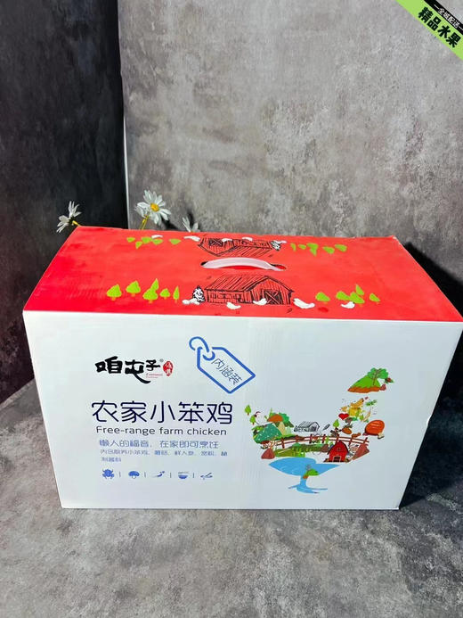 农家散养黑脚黄皮大公鸡，大奔头白鹅！纯散养，礼盒装！贴心的给大家准备了辅料，蘑菇、秘制酱料、鲜人参、粉条！拿回家直接下锅！ 商品图5