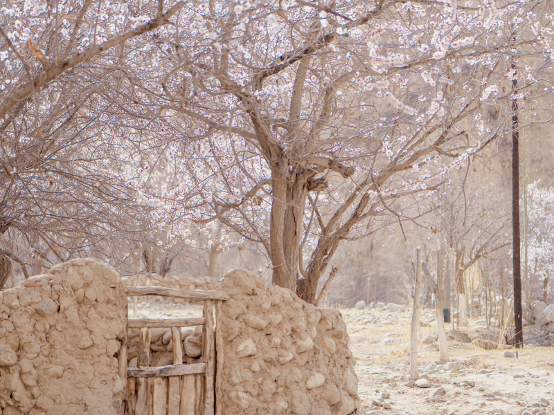 春漫南疆 | 新疆帕米尔高原8日寻春之旅