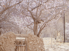 春漫南疆 | 新疆帕米尔高原8日寻春之旅