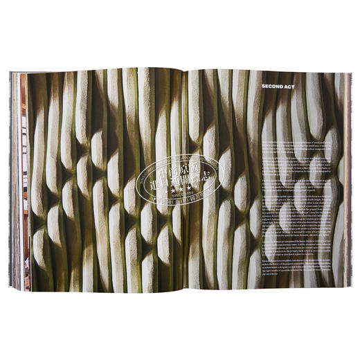 预售 【中商原版】Kelly Wearstler: Synchronicity 进口艺术 凯利·韦斯特勒：共时性 室内设计 Rizzoli 商品图7
