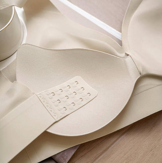 【109号】女士经典性感深V太空舱无痕无钢圈内衣文胸 商品图11